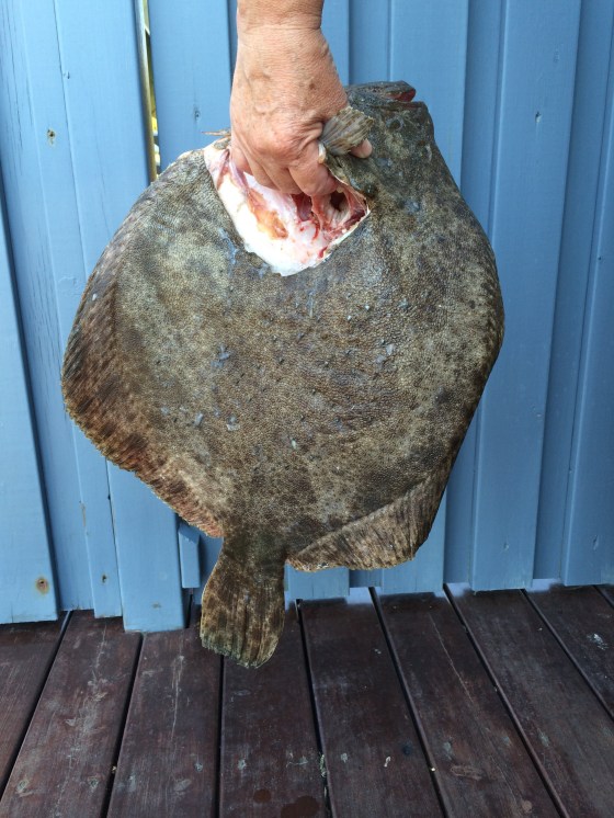 Hvidvinsdampet pigvar