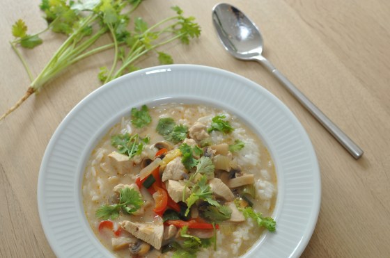 Thailandsk red curry